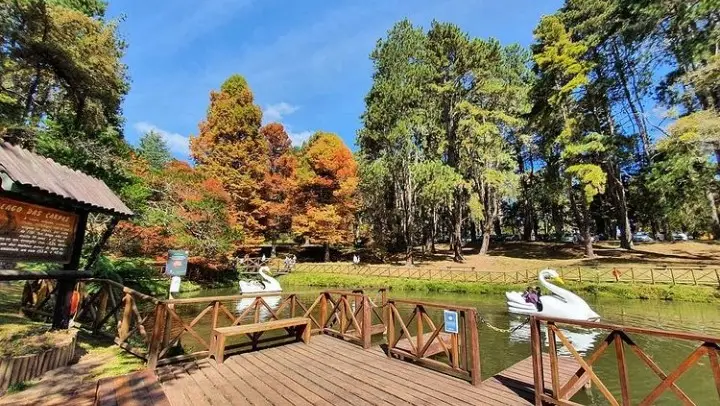 Parque Estadual de Campos do Jordão Horto Florestal