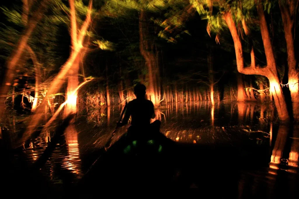 Trilha e Safari Noturno